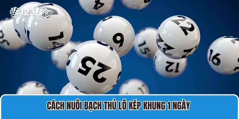 Cách nuôi bạch thủ lô kép khung 1 ngày